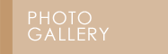 Hotel's Photo Gallery